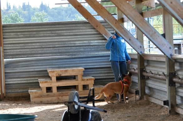 1239136_435473663236331_915493802_o